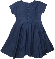 Fit and Flare Chambray Dress