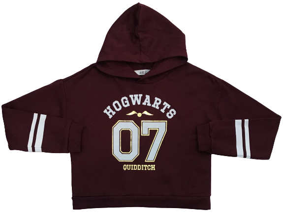 Cropped Hoodie / Harry Potter